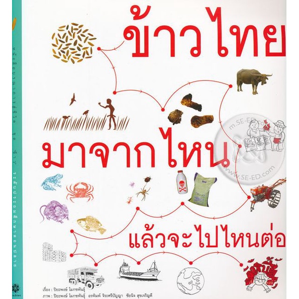 bundanjai-หนังสือเด็ก-ข้าวไทยมาจากไหนแล้วจะไปไหนต่อ