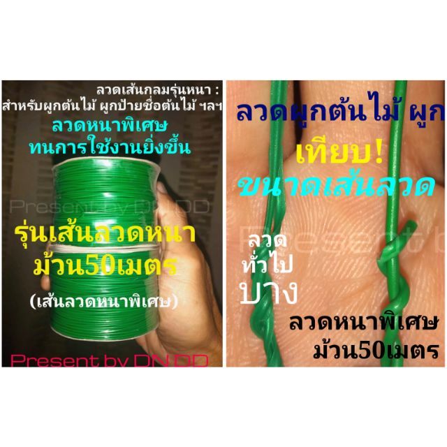 ลวดผูกป้ายชื่อต้นไม้-ผูกต้นไม้-รุ่นหนา-และหนาพิเศษ