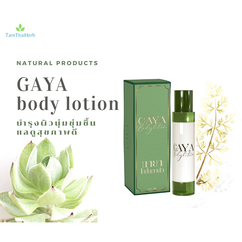 กายา โลชั่นบำรุงผิว (KAYA Body Lotion) Shopee Thailand