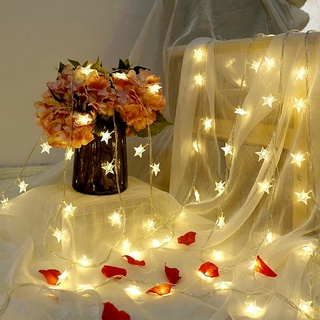 สายไฟหิ่งห้อย LED 2 เมตร 3 เมตร สําหรับตกแต่งปาร์ตี้คริสต์มาส และงานแต่งงาน
