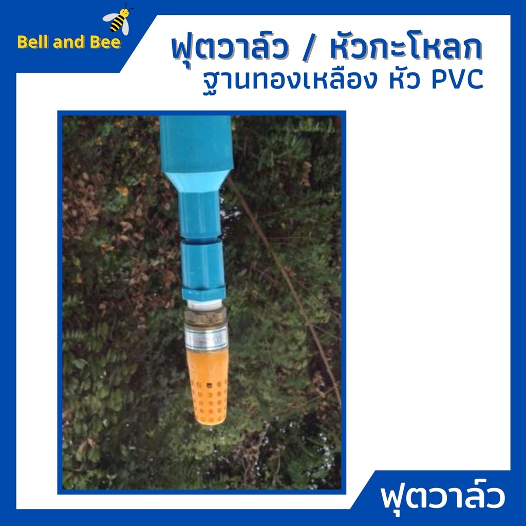 ฟุตวาล์วทองเหลือง-หัวกะโหลก-pvc-ไม่เป็นสนิม-ใช้กับปั้มน้ำ-mt