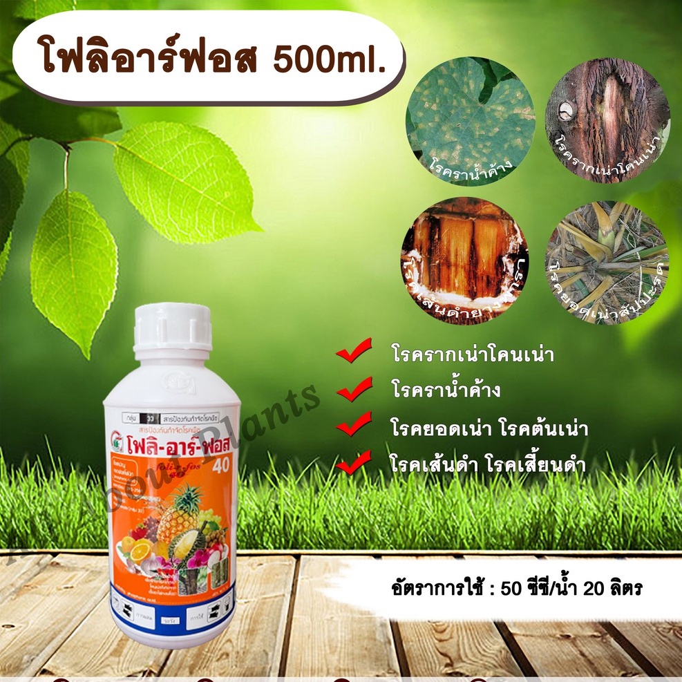 โฟลิอาร์ฟอส-500ml-กรดฟอสโฟนิก-สารกำจัดเชื้อรา-โรครากเน่าโคนเน่า-โรคราน้ำค้าง-โรคยอดเน่า-โรคต้นเน่า-โรคเส้นดำ