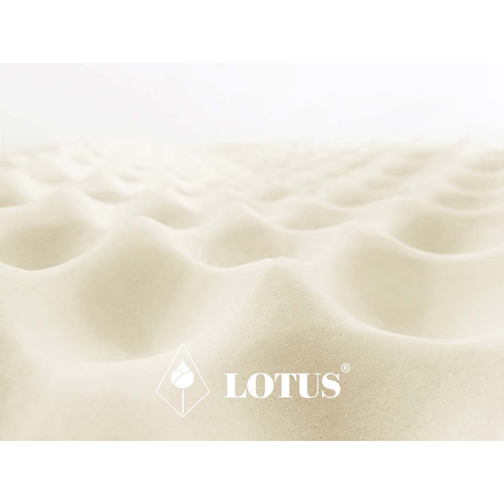 lotus-หมอนหนุนยางพาราโลตัส-รุ่น-neck-massage