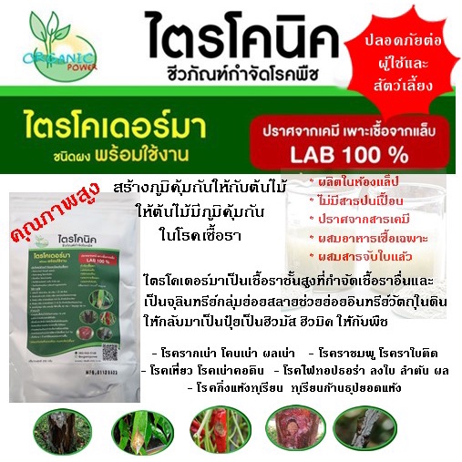 ชุดกำจัดเชื้อราและแมลง-250-กรัม-ไตรโคเดอร์มา-เมธาไรเซียมผสมบิวเวอร์เรีย