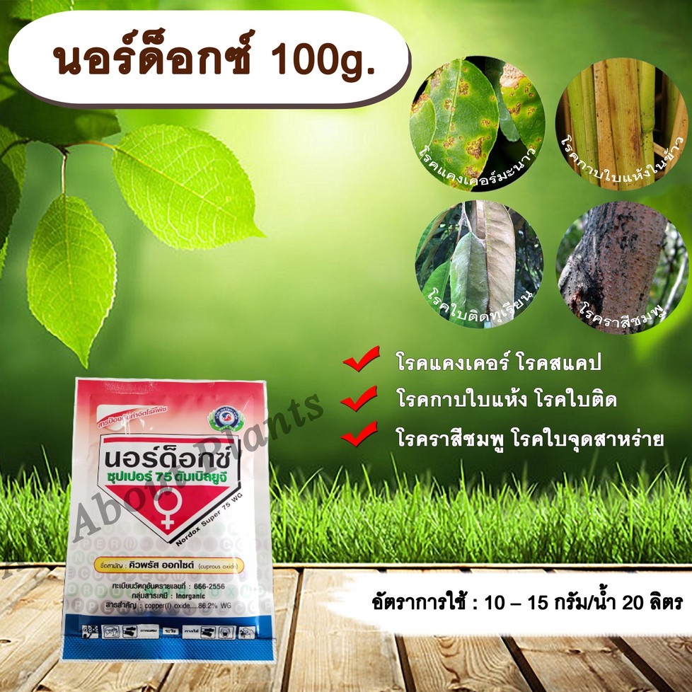 นอร์ด็อกซ์-100g-คิวปรัสออกไซด์-ป้องกันโรค-กำจัดโรค-เชื้อราและแบคทีเรีย-โรคแคงเคอร์-โรคสแคป-โรคกาบใบแห้ง-โรคใบติด