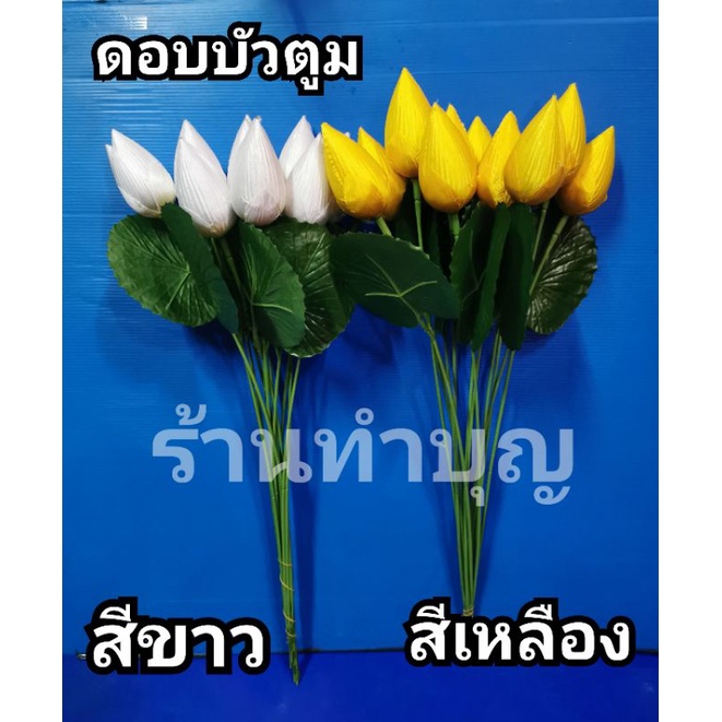 ดอกบัวตูม-ดอกบัว-ดอกบัวหลวง-ดอกไม้ประดิษฐ์-ดอกบัวขาว-ดอกบัวเหลือง-ชมพู-เขียว-ดอกบัวแดง-ดอกบัวไหว้พระ-ดอกบัวก้านยาว