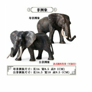 ภาพหน้าปกสินค้าModel ช้าง ยีราฟ  สัตว์เหมือนจริงพร้อมส่ง!!!! ซึ่งคุณอาจชอบสินค้านี้