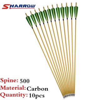 10 Pcs 30 "ธนูคาร์บอน Arrow กระดูกสันหลัง 500 Pure Carbon Arrows เปลี่ยน Broadheads เคล็ดลับสำหรับการล่าสัตว์กลางแจ้ง