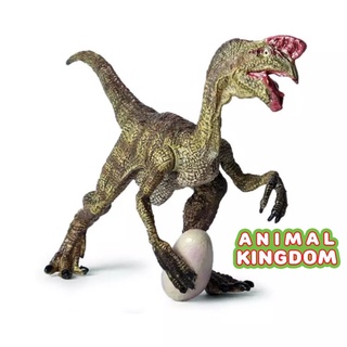 Animal Kingdom - โมเดลไดโนเสาร์ Oviraptor ขนาด 12.00 CM (จากหาดใหญ่)