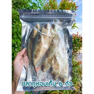ปลาทูหอมเค็ม แพ็ค 6 ตัว 🐟 อาหารแห้ง  อาหารทะเลแปรรูป สินค้านำเข้า