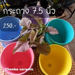 กระถางเซรามิค 7.5 นิ้ว สีสดใส พร้อมจานรอง