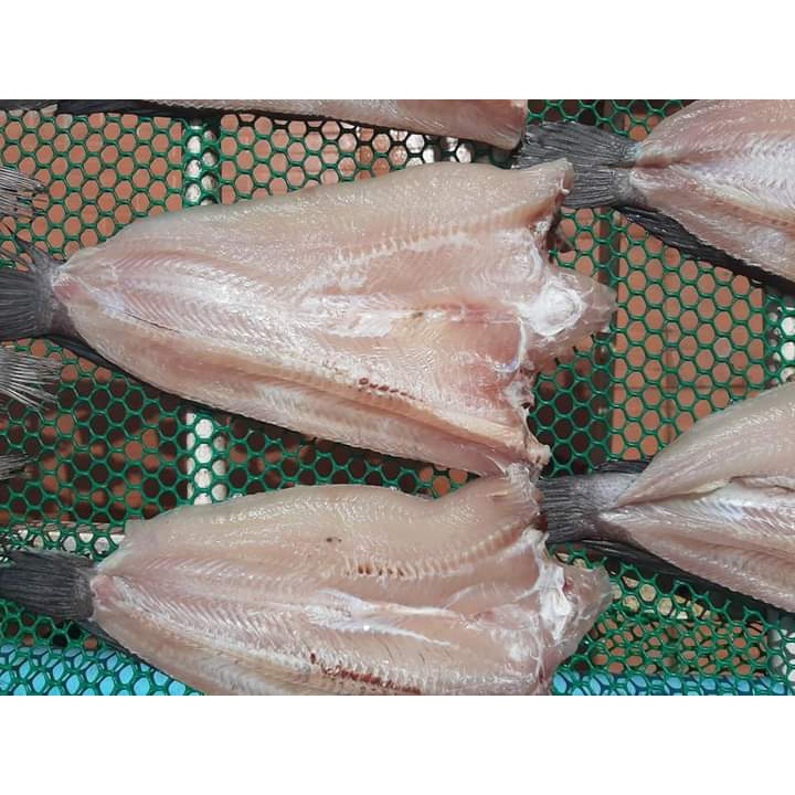 ภาพสินค้าปลาช่อนแดดเดียว ทอดพร้อมทาน แล่ก้าง ตัดครีบ เนื้อปลาฟู หอมอร่อย ชั่งน้ำหนัก 500 กรัม (ก่อนทอด) จากร้าน nongjinmittrakul บน Shopee ภาพที่ 5