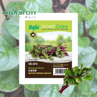 GNC - Baba Smart Grow Seed: VE-075 Red Stem Malabar Spinach Vege Seed Biji Benih Sayur Sayuran种子/母婴/手链/玫瑰/木瓜/裙子/文胸/园艺/花园