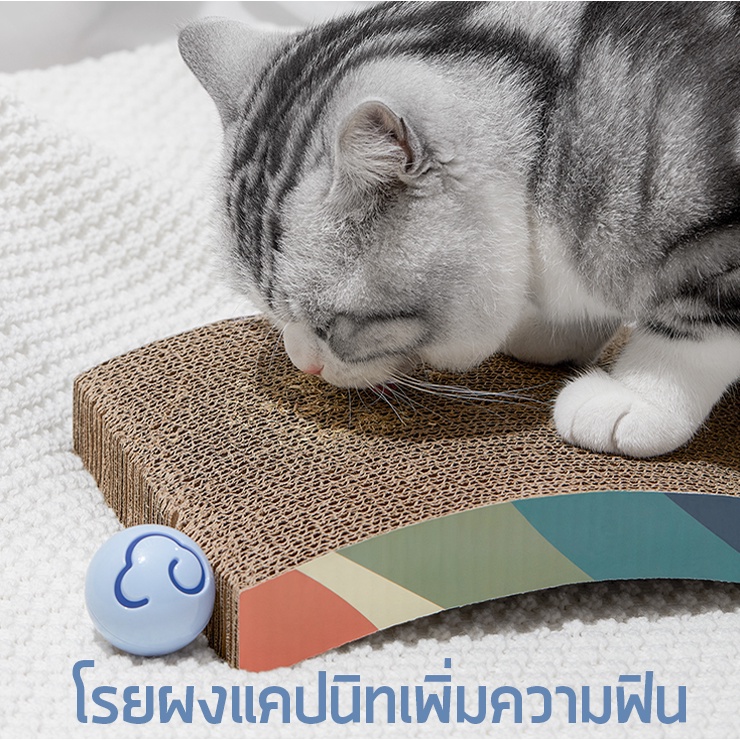 ภาพสินค้าI&CAT กระดาษลับเล็บแมวหลากสี คละสี ขนาด 43x21.5x3.5 cm.ที่ลับเล็บแมว ของเล่นแมว *****มีหลายแบบให้เลือก จากร้าน i_and_cat บน Shopee ภาพที่ 6