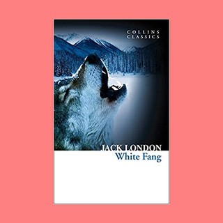 หนังสือนิยายภาษาอังกฤษ White Fang ชื่อผู้เขียน Jack London