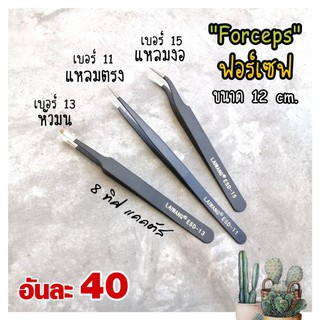 ภาพย่อรูปภาพสินค้าแรกของฟอร์เซฟ รุ่น มีเบอร์ // forceps แบบหนา อย่างดี ขนาด 12-12.5 cm ที่คีบ แคคตัส กระบองเพชร