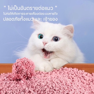 ภาพขนาดย่อของภาพหน้าปกสินค้าพร้อมส่ง  ทรายแมวเต้าหู้ PetPetCat Tofu(ขนาด6ลิตร) ผลิตจากกากถั่วเหลืองธรรมชาติ 100% ปลอดภัยจากสารเคมี จากร้าน petlovers_ บน Shopee