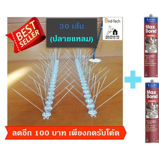 กันนก ไล่นก หนามฐาน polycarbonate  120กิ่งต่อเมตร ➡️​ปลายแหลม​⬅️​ 30 เส้น แถมกาวตะปู 2 หลอด