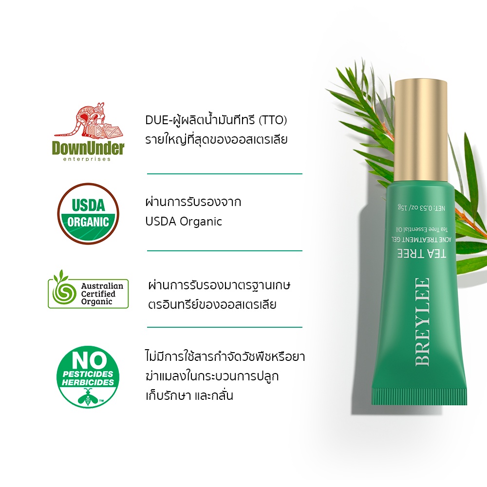 breylee-fda-เจลแต้มสิว-รักษาสิว-ทรีตเมนต์เจลป้องกันสิว-ควบคุมความมัน-tea-tree-intense-acne-gel-15g-ผลิตภัณฑ์รักษาสิว