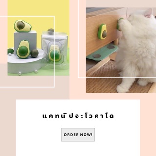 แคทนิปอะโวคาโด Avocado Mint ball toy