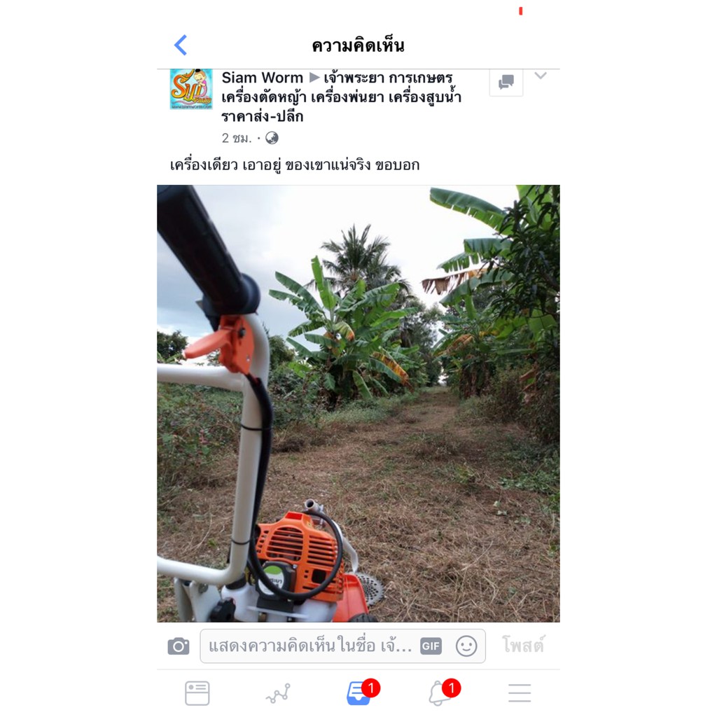 เครื่องตัดหญ้า-รถเข็นตัดหญ้า-2-4-จังหวะ-มาตราฐานญี่ปุ่น-แถมฟรี-จานเอ็น-และ-หน้ากากกันกระเด็น
