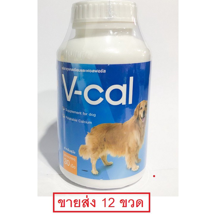 ขายส่ง-12-ขวด-v-cal-แคลเซียมสุนัข-บำรุงกระดูก-ฟัน-โครงสร้างแข็งแรง-30-เม็ด-ขวด