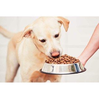 ภาพขนาดย่อของภาพหน้าปกสินค้าPetaholic (BO11) ชามอาหารสัตว์เลี้ยง ชามสเตนเลส ชามอาหารหมา ชามอาหารแมว Pet Stainless Dog Bowl จากร้าน petaholic.shop บน Shopee