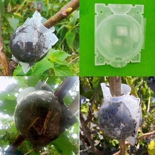 CUTE~Rooting Balls Automatic Buckle For Plant Grafting Gardening Toool 4 Holes