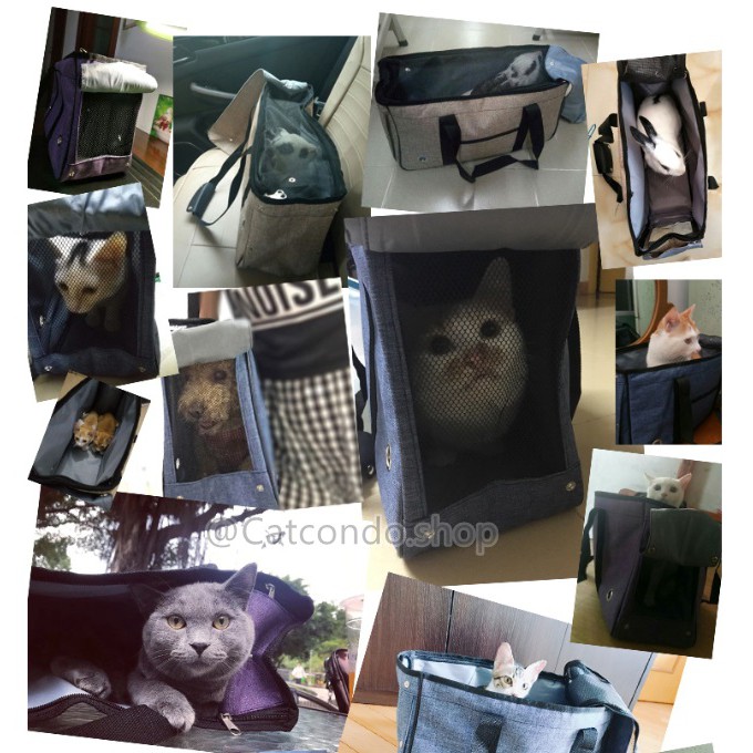 ภาพสินค้า️กระเป๋าใส่แมว กระเป๋าใส่สุนัข กระเป๋าสัตว์เลี้ยง กระเป๋าแมว ️ จากร้าน ratimapeem บน Shopee ภาพที่ 2