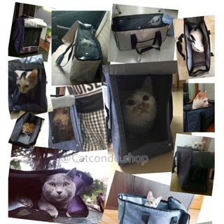 ภาพขนาดย่อของภาพหน้าปกสินค้า️กระเป๋าใส่แมว กระเป๋าใส่สุนัข กระเป๋าสัตว์เลี้ยง กระเป๋าแมว ️ จากร้าน ratimapeem บน Shopee ภาพที่ 2
