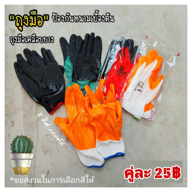 ภาพหน้าปกสินค้าถุงมือ บางโปร่ง เคลือบยาง // แบบสุ่มสี -- ถุงมือเคลือบยาง กันหนาม แคคตัส กระบองเพชร จากร้าน nunum_phikulthong บน Shopee