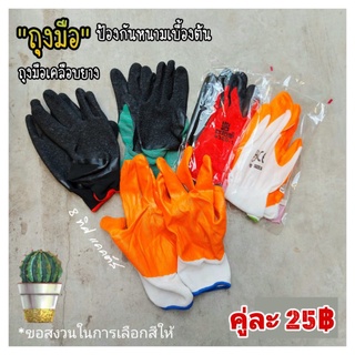 ภาพหน้าปกสินค้าถุงมือ บางโปร่ง เคลือบยาง // แบบสุ่มสี -- ถุงมือเคลือบยาง กันหนาม แคคตัส กระบองเพชร ที่เกี่ยวข้อง