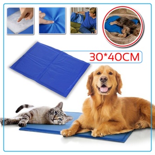 ภาพหน้าปกสินค้าPet Cool mat แผ่นเจลเย็น ที่นอนเย็น หมา แมว มี4ขนาด ที่เกี่ยวข้อง