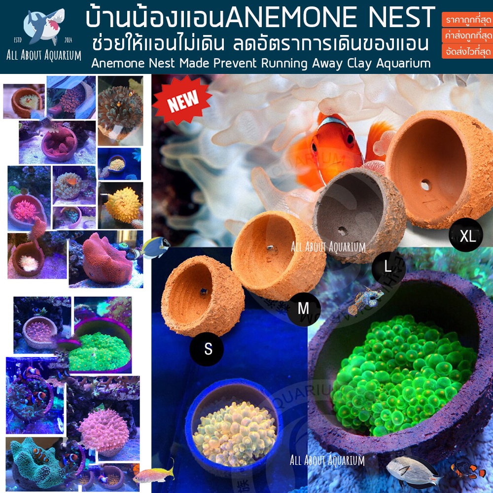 anemone-nest-บ้านแอนนิโมน-ลดการเดินของแอน-ใช้ได้กับแอนทุกชนิด-บ้านปะการัง-บ้านแอน-ปลาทะเล-วัสดุธรรมชาติ-coral-reef-ปลา