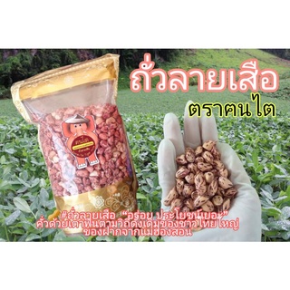 ภาพหน้าปกสินค้าถั่วลายเสือแม่ฮ่องสอน ตราฅนไต  500 กรัม ที่เกี่ยวข้อง