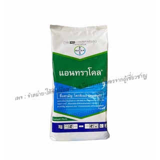 แอนทราโคล 1 กิโลกรัม(โพรพิเนบ70%WP) สารป้องกันโรคใบจุดสีน้ำตาลในข้าว และเชื้อราที่เป็นสาเหตุของโรคพืชหลายชนิด