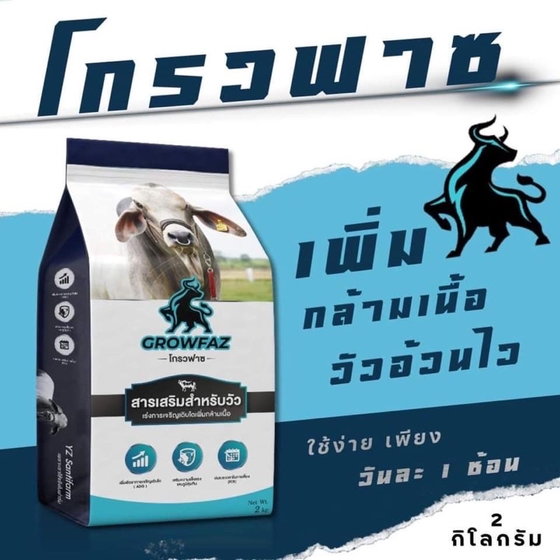 growfaz-โกรวฟาซ-สารเสริมสำหรับวัว