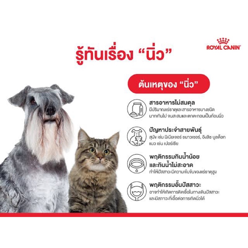 พร้อมส่ง-royal-canin-urinary-s-o-อาหารสำหรับแมวโรคนิ่ว-แบ่งขาย