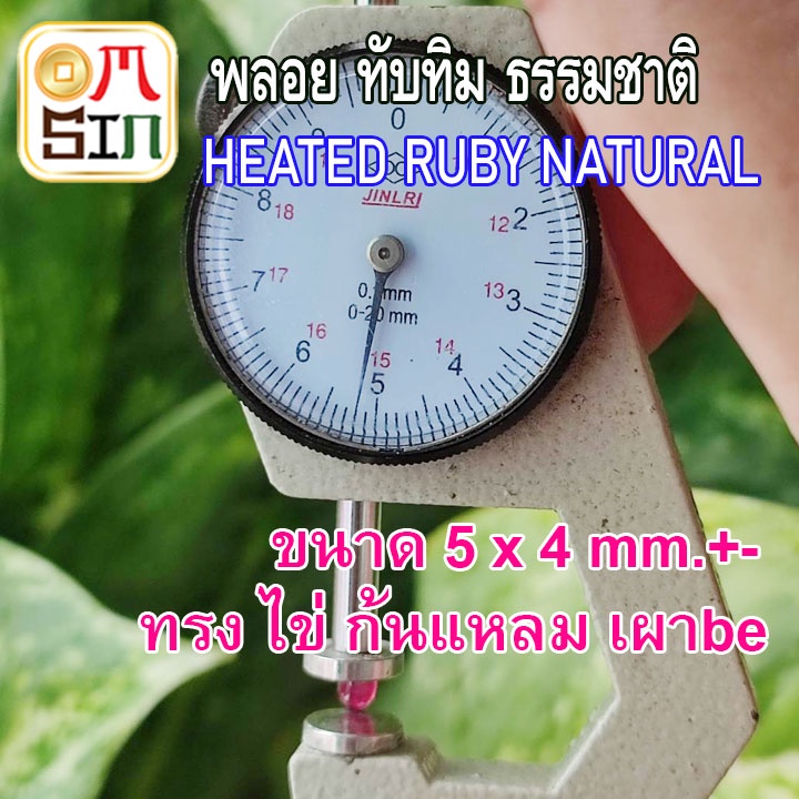 a246-5-x-4-มิล-ไข่-1-เม็ด-ทับทิม-เผาใหม่-be-ก้นนูน-สี-ชมพู-อมม่วง-ruby-natural-heated-ธรรมชาติแท้-100