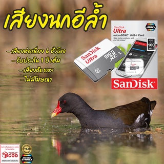 เสียงต่อ นกอีล้ำ ยาว6ชั่วโมง ไม่มีโฆษณา เมมโมรี่เล็ก(Micro SD) มีเก็บเงินปลายทาง