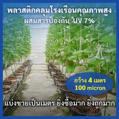 ภาพหน้าปกสินค้ากว้าง 4 เมตร หนา 100 ไมครอน พลาสติกคลุมโรงเรือนคุณภาพสูง