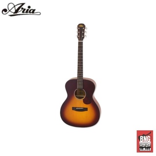 ARIA-101 MTTS กีตาร์โปร่ง แอเรีย Acoustic Guitars