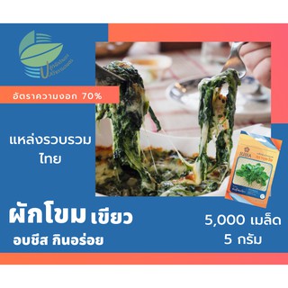 ผักโขมเขียว (Green Amaranth)