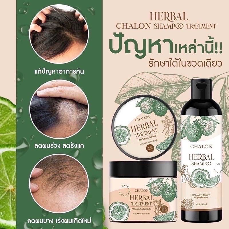 แชมพูชลอน-แชมพูมะกรูดชลอน-แชมพู-ทรีทเม้นท์-chalon-herbal-ชลอน-เฮอร์เบิ้ล