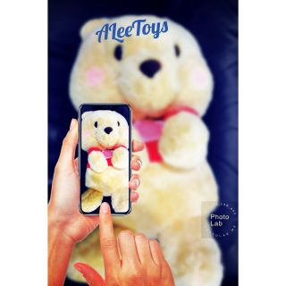 [🇯🇵นำเข้าจากญี่ปุ่น🇯🇵]  หมีพูห์ -  Winnie The Pooh 35 cm  ตุ๊กตา ของขวัญ ของ Disney แท้ 🇯🇵