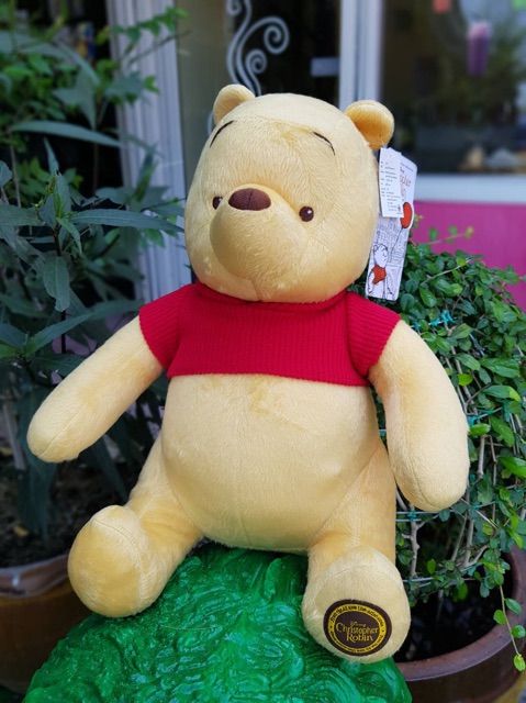 หมีพูห์-คริสโตเฟอร์-pooh-christopher