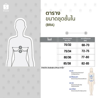 ภาพขนาดย่อของภาพหน้าปกสินค้า𝑩𝒓𝒂𝑩𝒓𝒂𝑩𝒓𝒂 ️  bra-123 บราไร้ขอบ ไร้โครง บราเกาะอก ฟองน้ำ หนา 3 ซม จากร้าน brabrabra.official บน Shopee