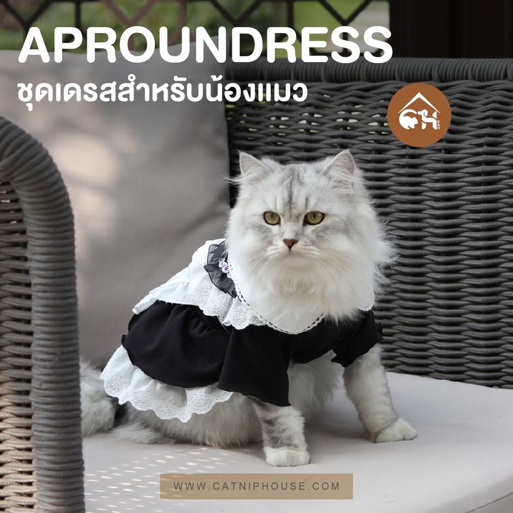 ชุด-maid-uniform-น่ารักๆ-สำหรับสัตว์เลี้ยงแสนรัก