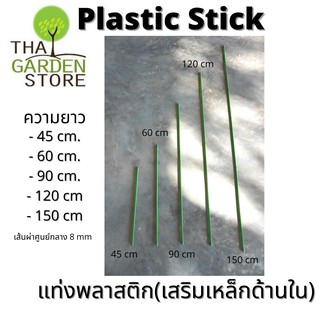 ภาพขนาดย่อของภาพหน้าปกสินค้าเสาค้ำยันต้นไม้ เหล็กหนา8มิล (ราคา10 แท่ง)Plastic Stick แท่งพลาสติกค้ำยันต้นไม้ เสริมแท่งเหล็กด้านใน(ราคาต่อ 10ชิ้น) จากร้าน tgspacking บน Shopee