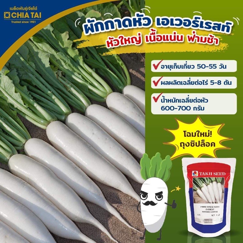 เมล็ดพันธุ์-ผักกาดหัวเอเวอร์เรส-พิเศษ-450-กรัม